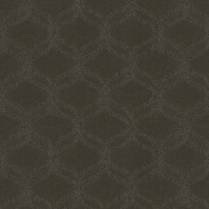 Anderson Tuftex Carpet APPRECIATION - 00752 GLACIER PARK
