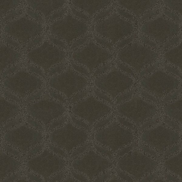 Anderson Tuftex Carpet APPRECIATION - 00752 GLACIER PARK
