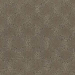 Anderson Tuftex Carpet APPRECIATION - 00754 MISSOULA