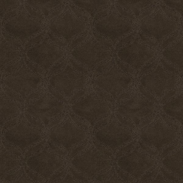 Anderson Tuftex Carpet APPRECIATION - 00755 BROWNING
