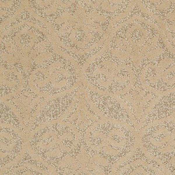 Anderson Tuftex Carpet MODERN AMENITIES - 00107 YEARLING