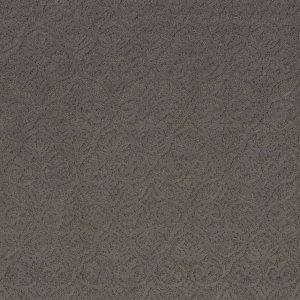 Anderson Tuftex Carpet MODERN AMENITIES - 00527 SHALESTONE