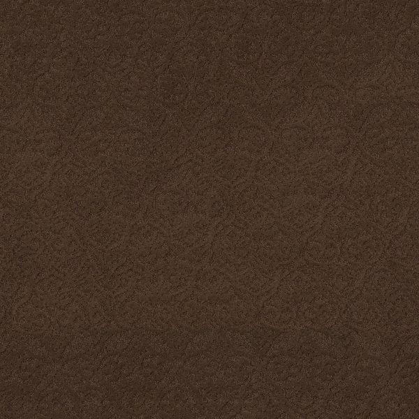 Anderson Tuftex Carpet MODERN AMENITIES - 00707 BISON