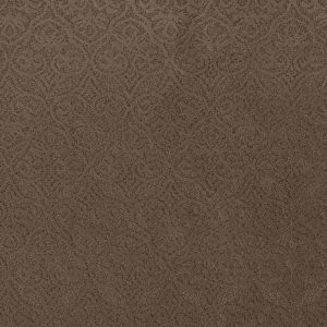 Anderson Tuftex Carpet MODERN AMENITIES - 00724 MESQUITE