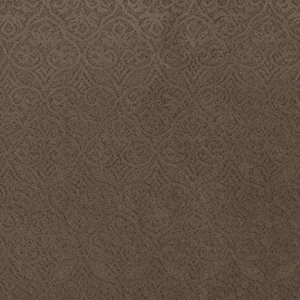 Anderson Tuftex Carpet MODERN AMENITIES - 00724 MESQUITE