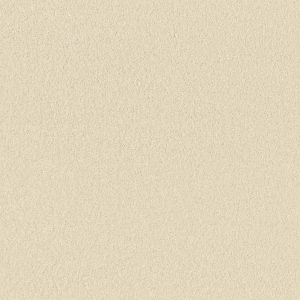 Anderson Tuftex Carpet CASHMERE I - 00100 ICELANDIC