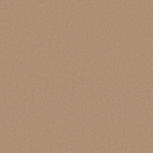 Anderson Tuftex Carpet CASHMERE I - 00600 MAPLEWOOD NORTH