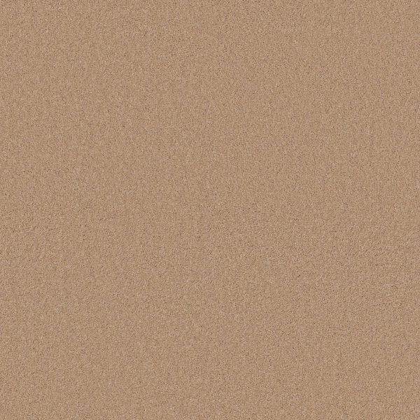 Anderson Tuftex Carpet CASHMERE I - 00600 MAPLEWOOD NORTH