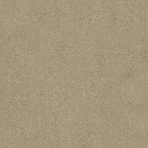 Anderson Tuftex Carpet CASHMERE I - 00700 PANAMA