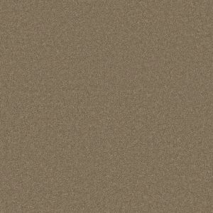 Anderson Tuftex Carpet CASHMERE I - 00701 LLAMA