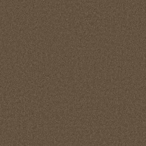 Anderson Tuftex Carpet CASHMERE I - 00705 GREAT PLAINS