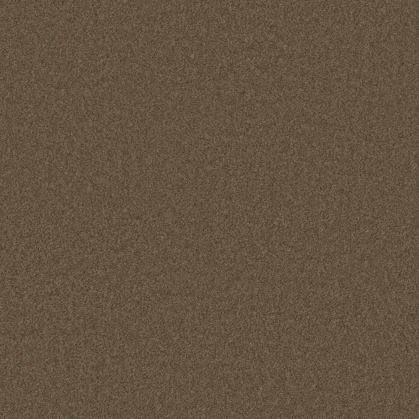 Anderson Tuftex Carpet CASHMERE I - 00705 GREAT PLAINS