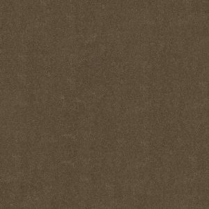 Anderson Tuftex Carpet CASHMERE I - 00706 PEBBLE CREEK