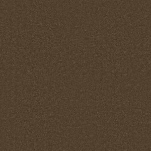 Anderson Tuftex Carpet CASHMERE I - 00707 BISON