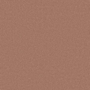 Anderson Tuftex Carpet CASHMERE I - 00800 BRITISH ROUGE