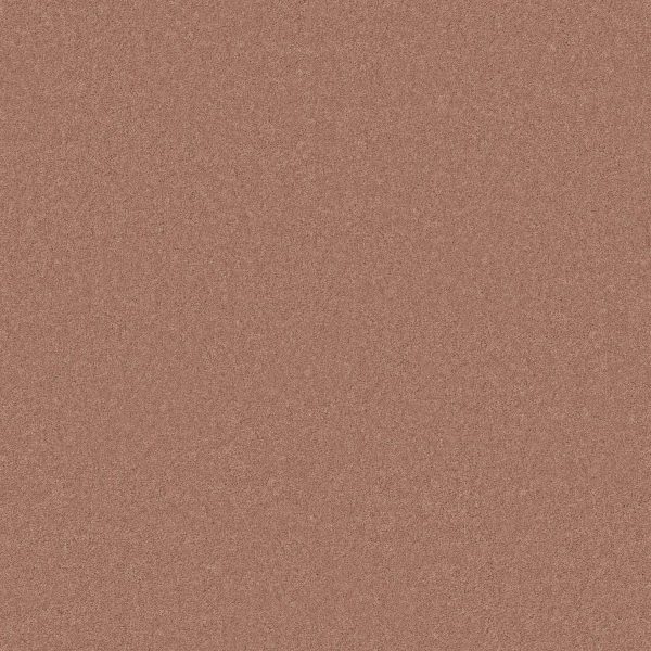 Anderson Tuftex Carpet CASHMERE I - 00800 BRITISH ROUGE