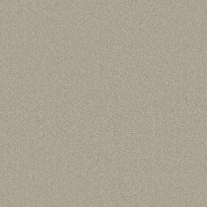 Anderson Tuftex Carpet CASHMERE I - 00900 MORNING MIST