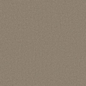 Anderson Tuftex Carpet CASHMERE I - 00901 OXFORD