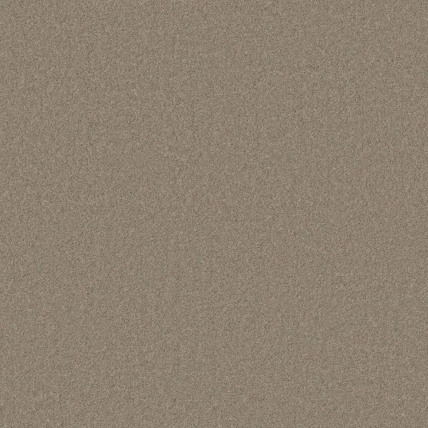 Anderson Tuftex Carpet CASHMERE I - 00901 OXFORD