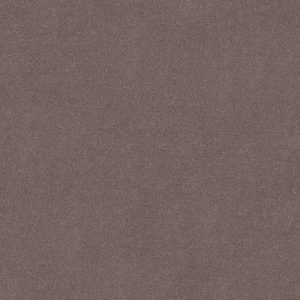 Anderson Tuftex Carpet CASHMERE I - 00902 PORTLAND