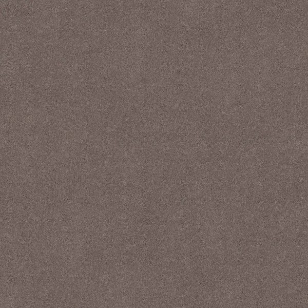 Anderson Tuftex Carpet CASHMERE I - 00902 PORTLAND
