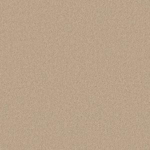 Anderson Tuftex Carpet CASHMERE II - 00107 YEARLING