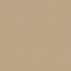 Anderson Tuftex Carpet CASHMERE III - 00107 YEARLING