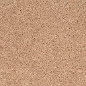 Anderson Tuftex Carpet CASHMERE III - 00600 MAPLEWOOD NORTH