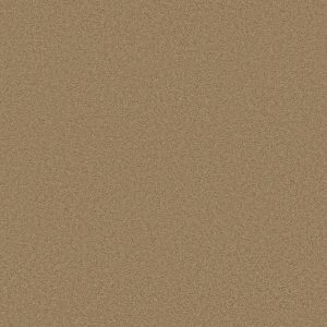 Anderson Tuftex Carpet CASHMERE III - 00703 NAVAJO