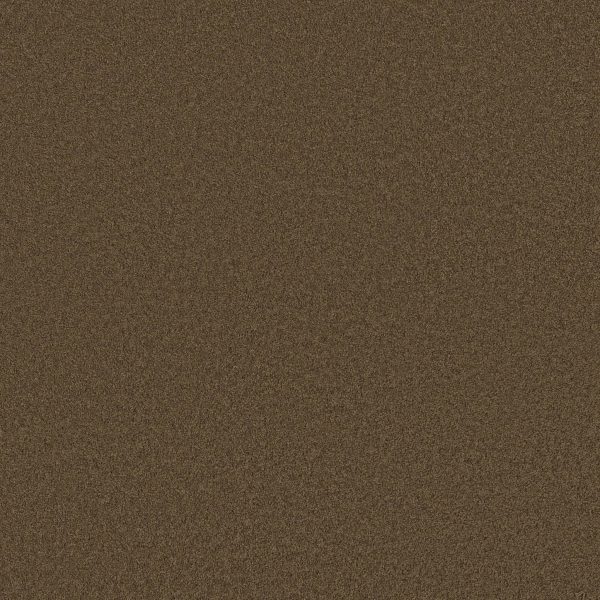 Anderson Tuftex Carpet CASHMERE III - 00707 BISON
