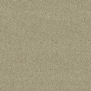 Anderson Tuftex Carpet CASHMERE IV - 00300 ROMNEY MARSH