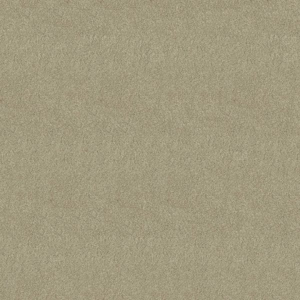 Anderson Tuftex Carpet CASHMERE IV - 00300 ROMNEY MARSH