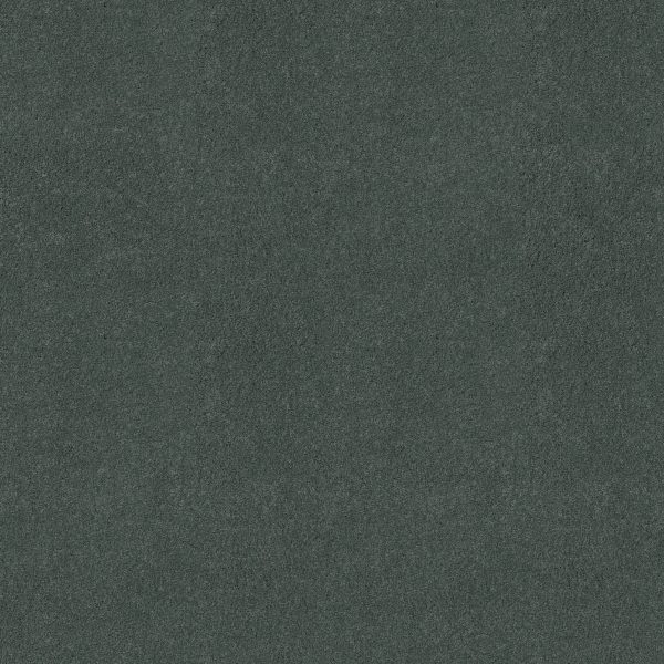 Anderson Tuftex Carpet CASHMERE IV - 00402 WINDERMERE LAKE
