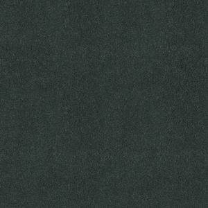Anderson Tuftex Carpet CASHMERE IV - 00403 BLEU DU MAINE