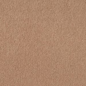 Anderson Tuftex Carpet CASHMERE IV - 00600 MAPLEWOOD NORTH