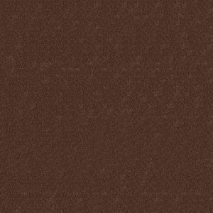 Anderson Tuftex Carpet CASHMERE IV - 00603 GUANACO