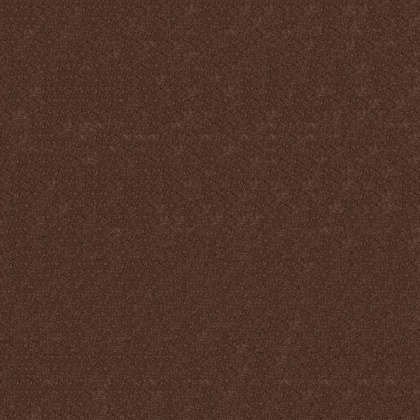 Anderson Tuftex Carpet CASHMERE IV - 00603 GUANACO