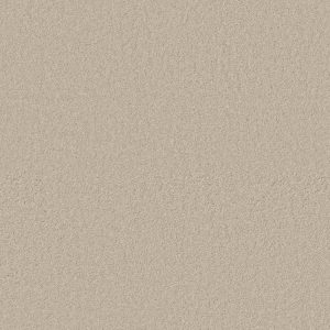 Anderson Tuftex Carpet CASHMERE CLASSIC I - 00104 CHEVIOT