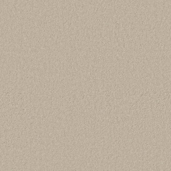 Anderson Tuftex Carpet CASHMERE CLASSIC I - 00104 CHEVIOT