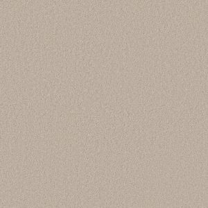 Anderson Tuftex Carpet CASHMERE CLASSIC I - 00122 HEIRLOOM