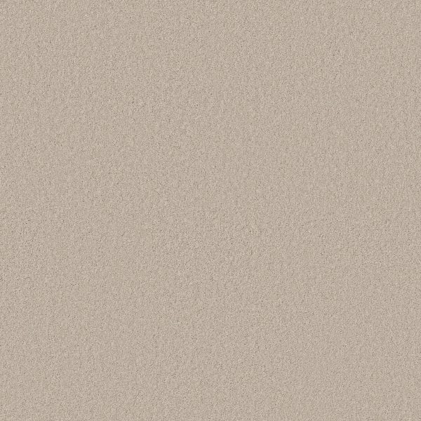 Anderson Tuftex Carpet CASHMERE CLASSIC I - 00122 HEIRLOOM