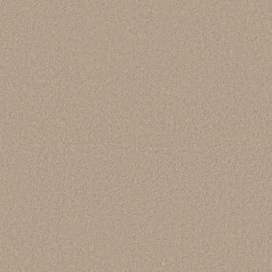 Anderson Tuftex Carpet CASHMERE CLASSIC I - 00127 SUEDE