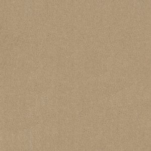 Anderson Tuftex Carpet CASHMERE CLASSIC I - 00128 GENTLE DOE