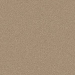 Anderson Tuftex Carpet CASHMERE CLASSIC I - 00221 MANILLA