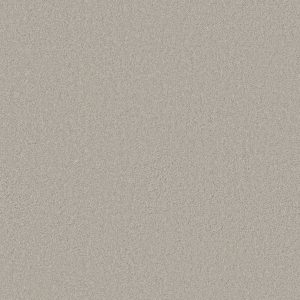 Anderson Tuftex Carpet CASHMERE CLASSIC I - 00320 SPEARMINT