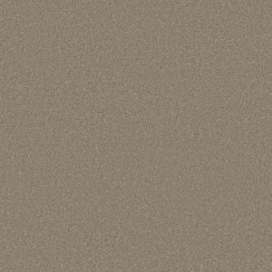 Anderson Tuftex Carpet CASHMERE CLASSIC I - 00321 SPRUCE