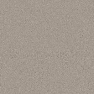 Anderson Tuftex Carpet CASHMERE CLASSIC I - 00511 STERLING