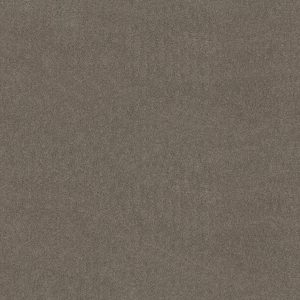 Anderson Tuftex Carpet CASHMERE CLASSIC I - 00525 BARNBOARD
