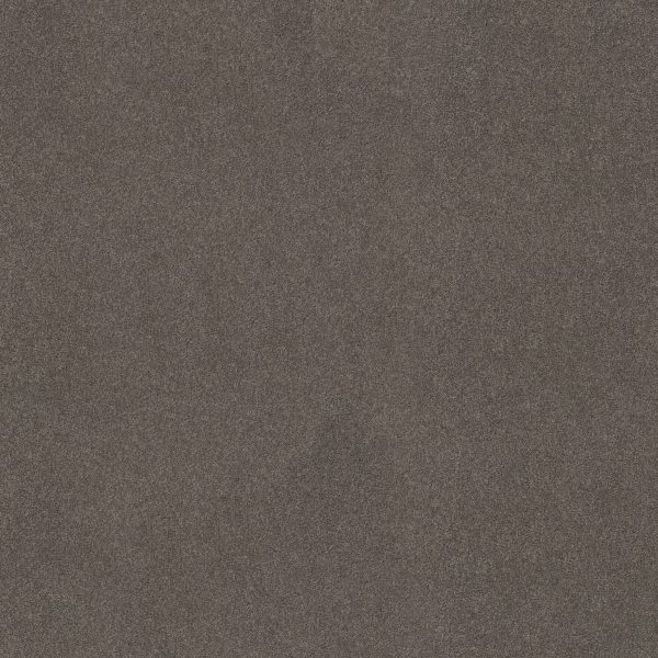 Anderson Tuftex Carpet CASHMERE CLASSIC I - 00526 CHINCHILLA
