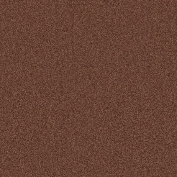 Anderson Tuftex Carpet CASHMERE CLASSIC I - 00620 RICH HENNA
